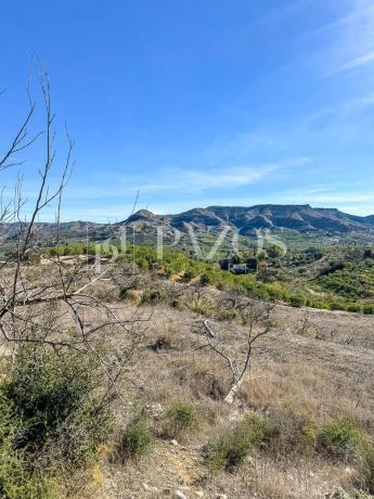 Terreno en Diseminado p 5