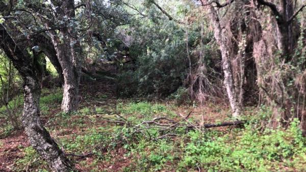 Terreno en Altos de Estepona
