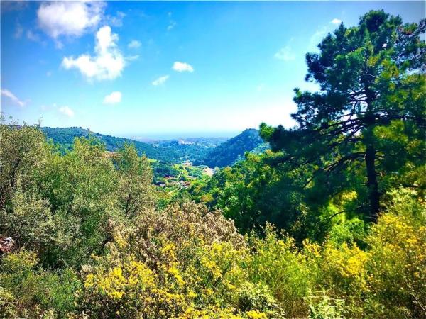 Terreno en Altos de Estepona