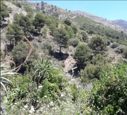 Terreno en Urb Alta Verde