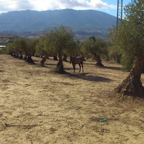 Terreno en Partida Pozo Judio, km 0