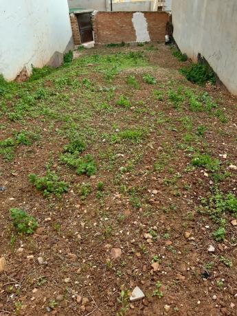 Terreno en calle Arroyo Cantarranas, 4