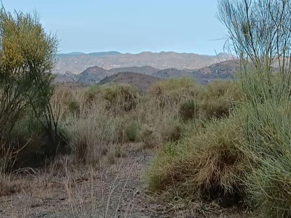 Terreno en Cártama pueblo