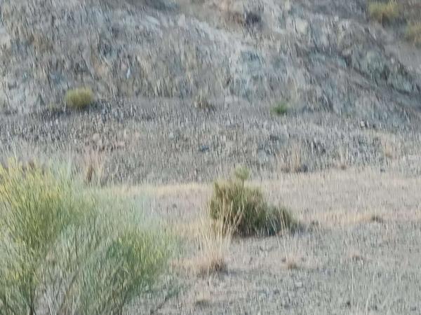 Terreno en Cártama pueblo