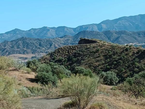 Terreno en Cártama pueblo