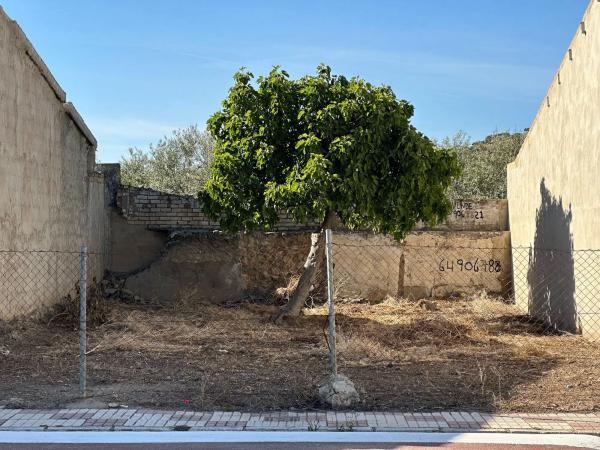 Terreno en calle Salado, 29