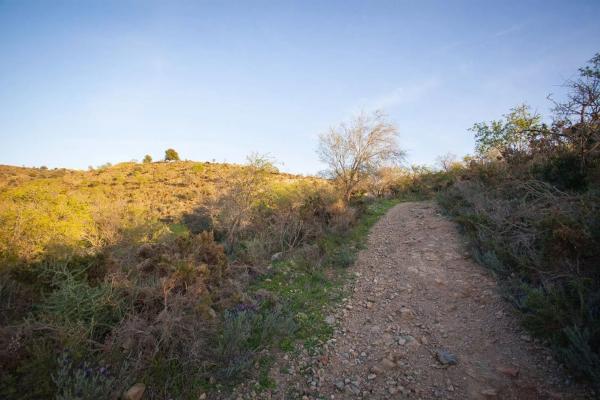 Terreno en camino del Fiscal