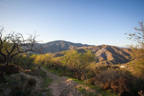 Terreno en camino del Fiscal