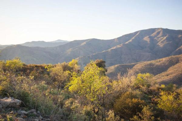 Terreno en camino del Fiscal