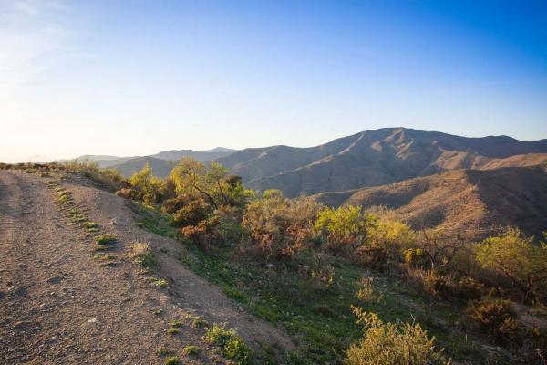Terreno en camino del Fiscal