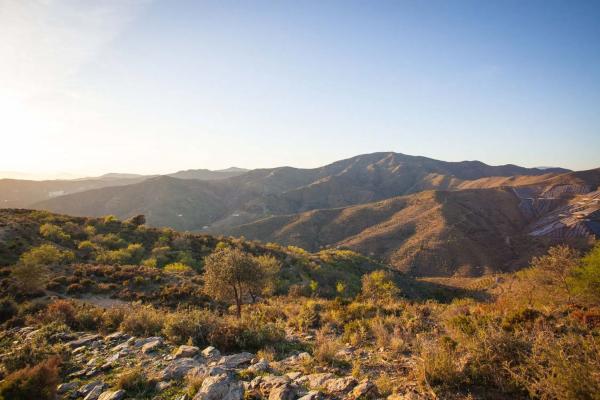Terreno en camino del Fiscal
