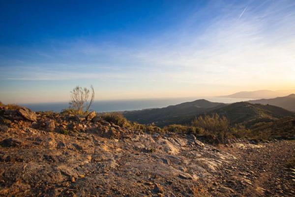 Terreno en camino del Fiscal