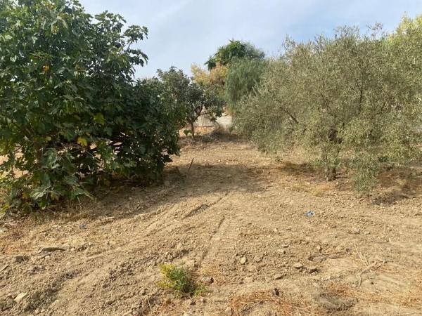 Terreno en Ma-3403, km 0