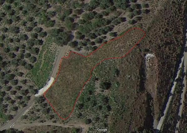 Terreno en Paraje La Morena, 2 Polgono