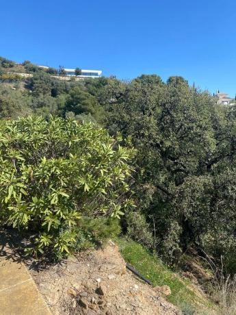 Terreno en Urbanizacion los Altos de los Monteros, 10