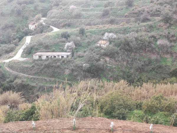 Terreno en campo s/n sn