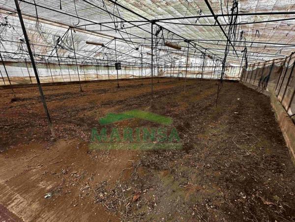 Terreno en Diseminado Almayate Bajo, 281