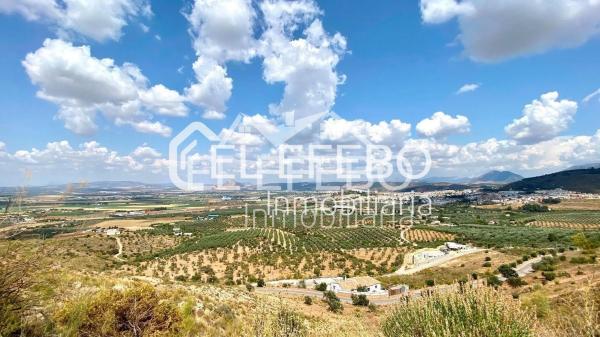Terreno en Bobadilla - Bobadilla Estación - La Joya