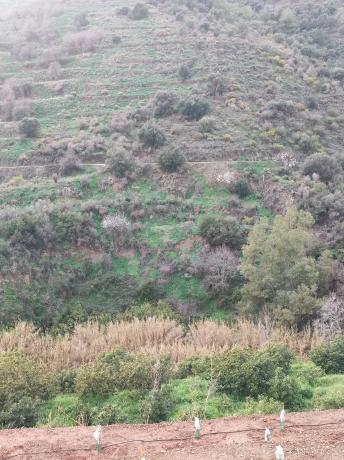 Terreno en campo s/n sn