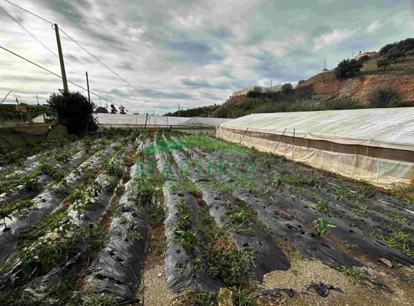 Terreno en Diseminado Almayate Bajo, 281