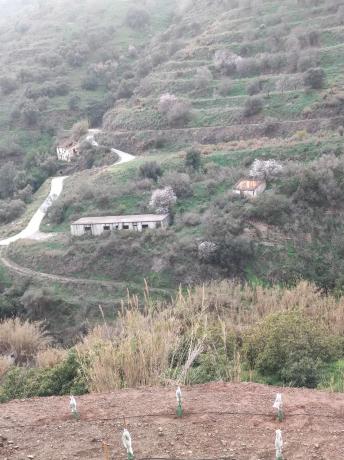 Terreno en campo s/n sn