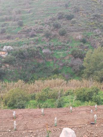 Terreno en campo s/n sn