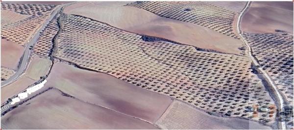 Terreno en Campillos