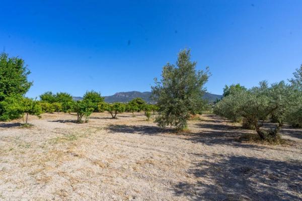 Terreno en El Cigarral - Dehesa - Borrajo