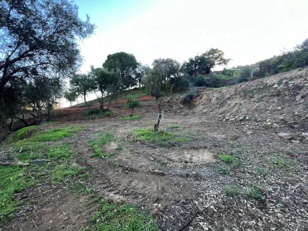 Terreno en Cordobachina