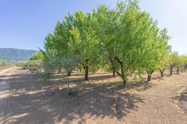 Terreno en El Cigarral - Dehesa - Borrajo
