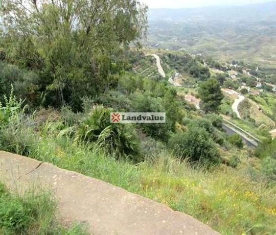 Terreno en calle Alta s/n