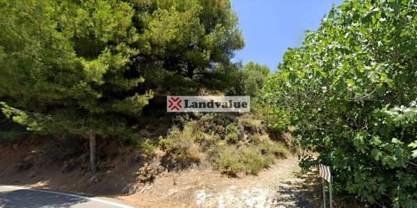 Terreno en calle Alta s/n