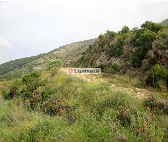 Terreno en calle Alta s/n