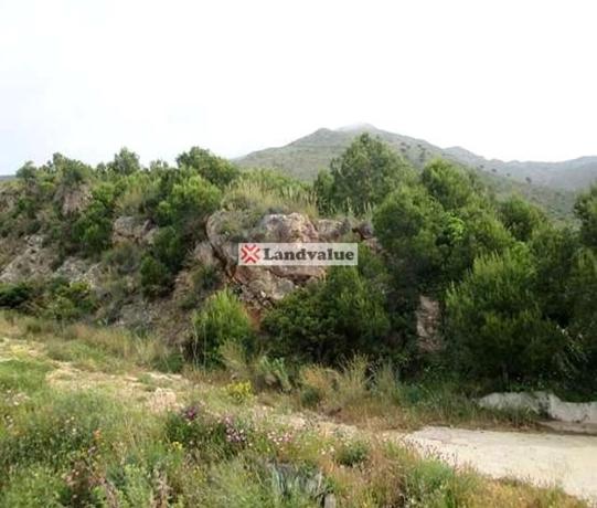 Terreno en calle Alta s/n