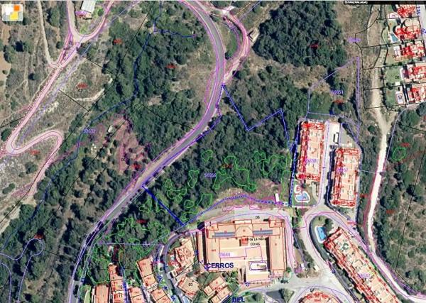 Terreno en carretera Istán