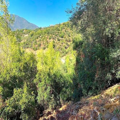 Terreno en carretera Istán