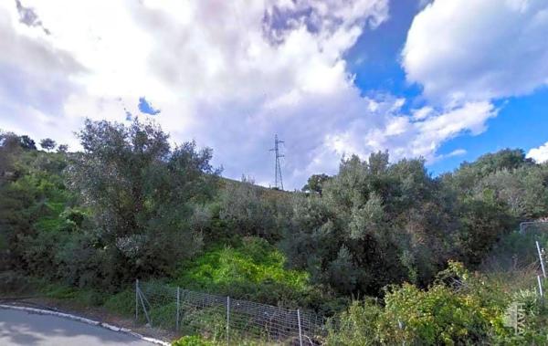 Terreno en Urbanización el Rosario