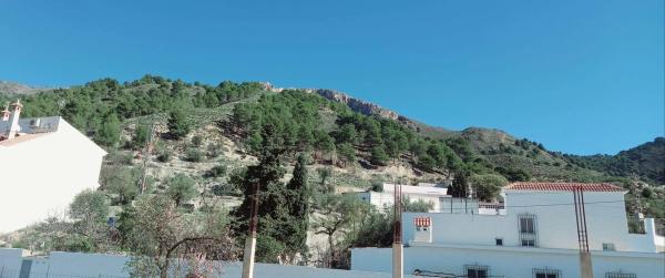 Terreno en Canillas de Aceituno