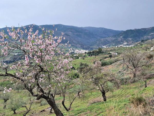 Terreno en Poligono 6 Pola s/n