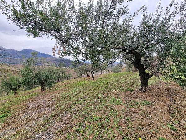 Terreno en Poligono 6 Pola s/n