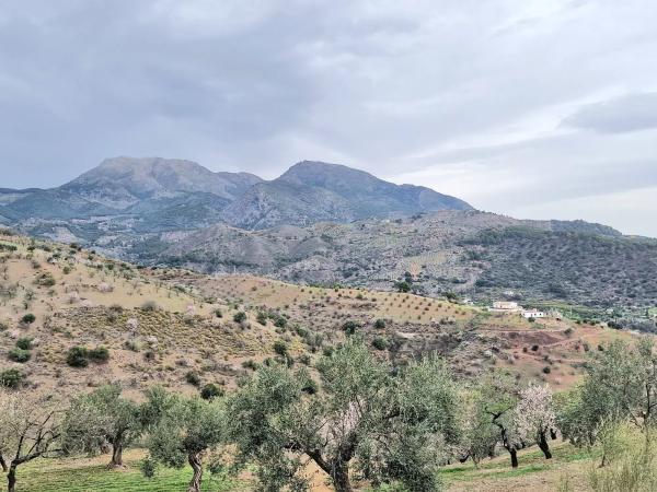 Terreno en Poligono 6 Pola s/n