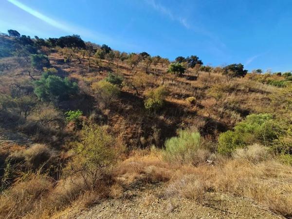 Terreno en calle Puerto Goñi