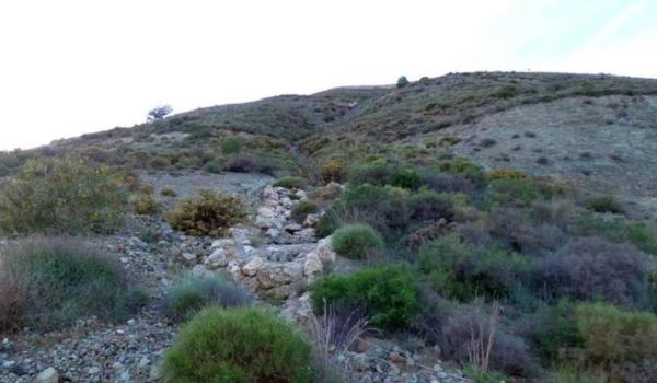 Terreno en Cl Avutarda