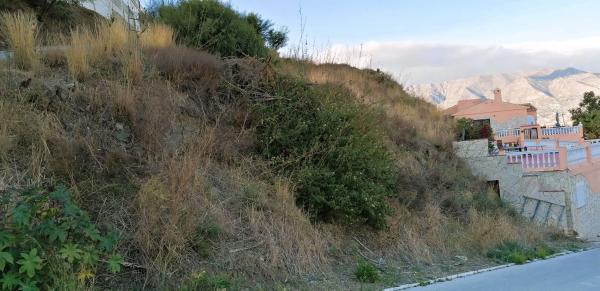 Terreno en avenida Aguila Coronada