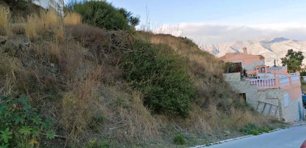 Terreno en avenida Aguila Coronada