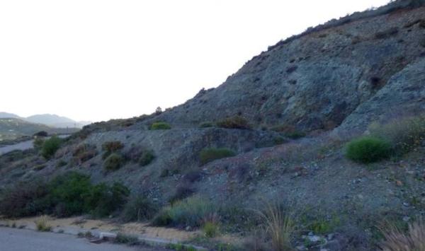 Terreno en Cl Avutarda