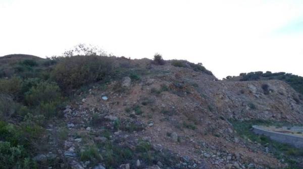 Terreno en C/avestruz, 116