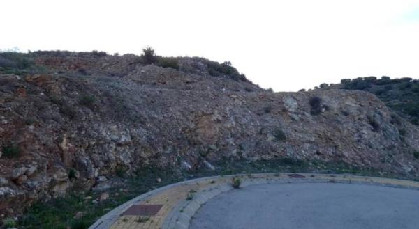 Terreno en C/avestruz, 116