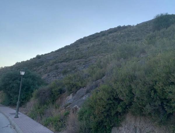 Terreno en Cl Avutarda