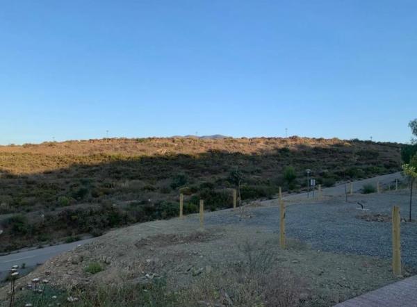 Terreno en Cl Avutarda